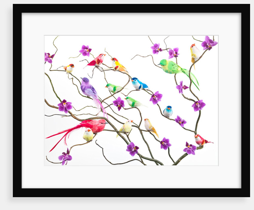 Fake birds on branches by Assaf Frank